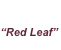 shapeimage_2_link_1